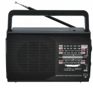 Radio portabil FP-1371 ELECTRONICE imagine noua 2022